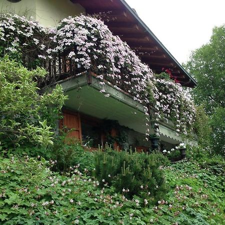Il Giardino Dell'Artemisia Villa Pila  Buitenkant foto