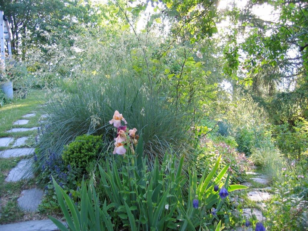 Il Giardino Dell'Artemisia Villa Pila  Buitenkant foto