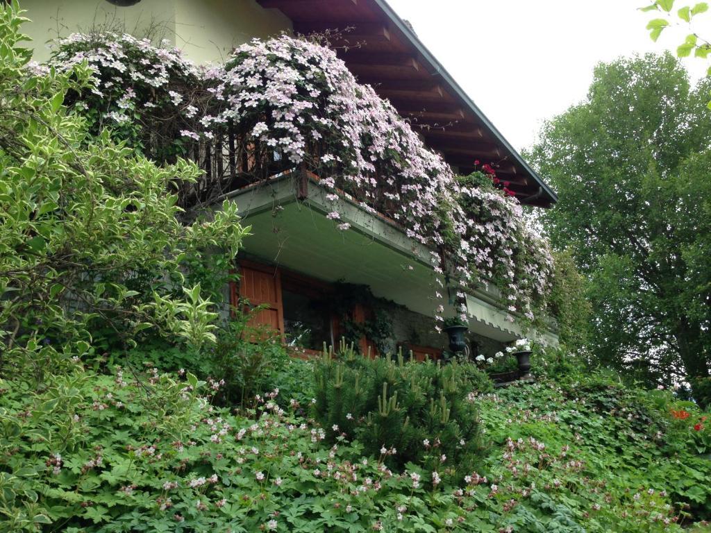 Il Giardino Dell'Artemisia Villa Pila  Buitenkant foto