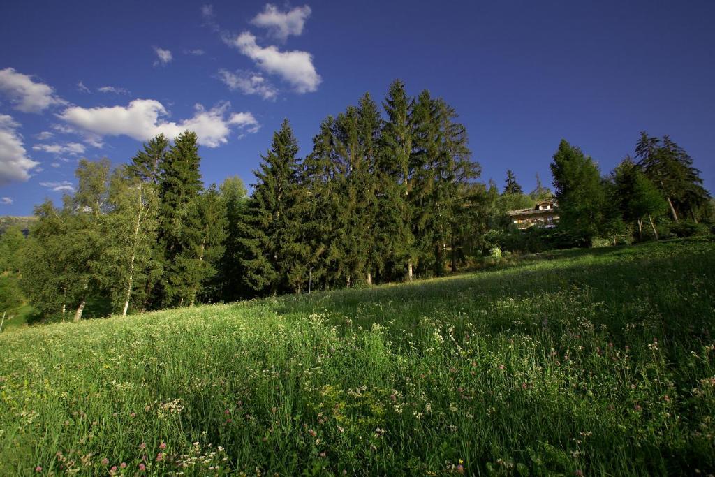 Il Giardino Dell'Artemisia Villa Pila  Buitenkant foto